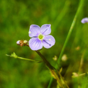 Meet your Posher, Leah